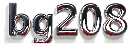 bg208 logo